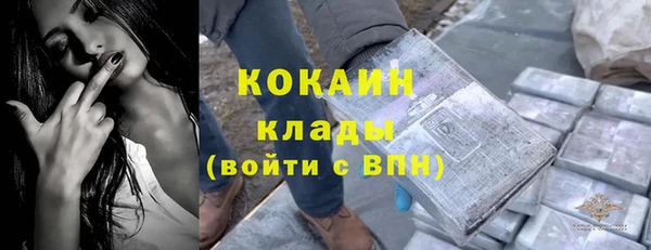 шишки Лагань