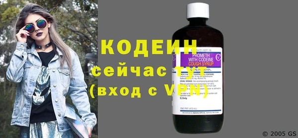 сатива Лабытнанги