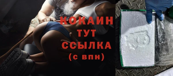 шишки Лагань
