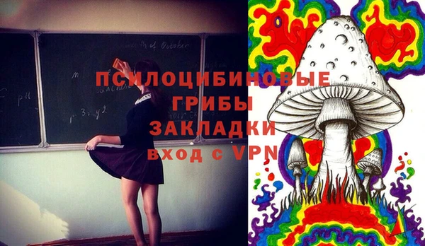 прущий лед Ладушкин