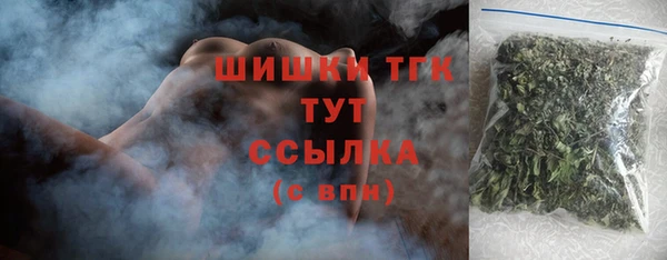 сатива Лабытнанги