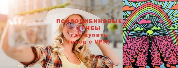 сатива Лабытнанги