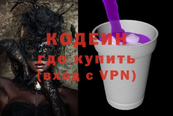 сатива Лабытнанги