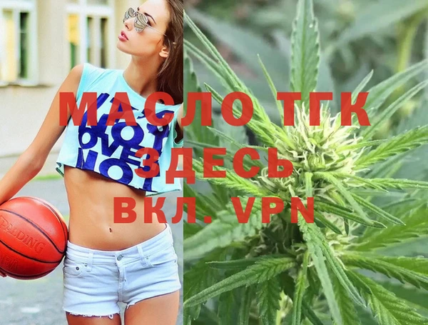 сатива Лабытнанги