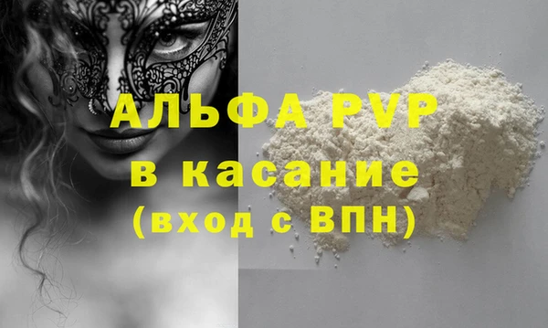 сатива Лабытнанги