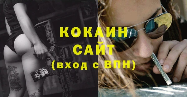шишки Лагань